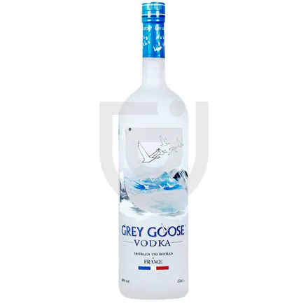Confezione di Grey Goose Magnum