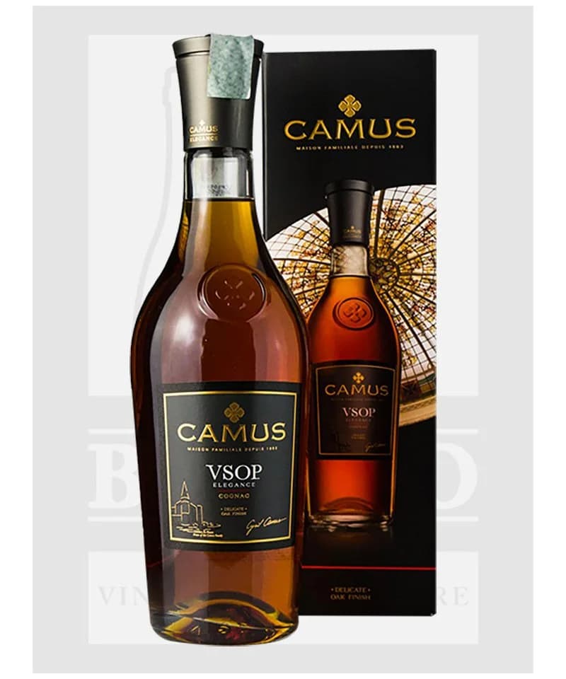 Camus VS: vista principale