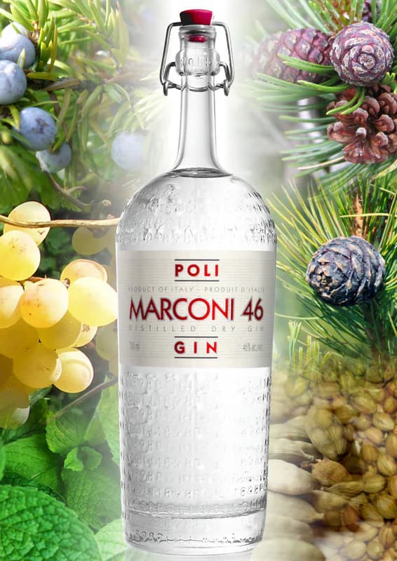 Poli Marconi 46: vista principale